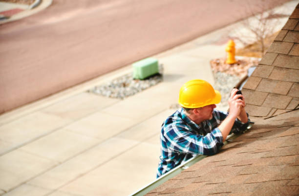 Best Roof Maintenance and Cleaning  in White Sulphur Springs, WV
